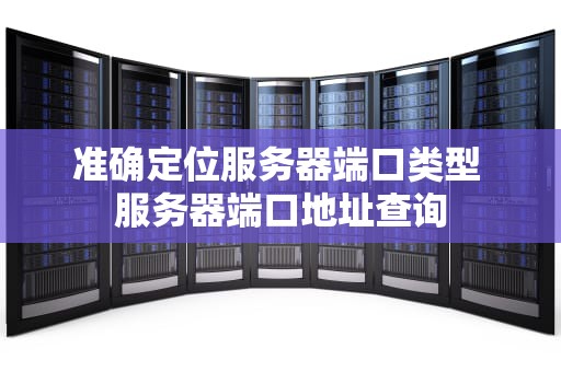 准确定位服务器端口类型 服务器端口地址查询