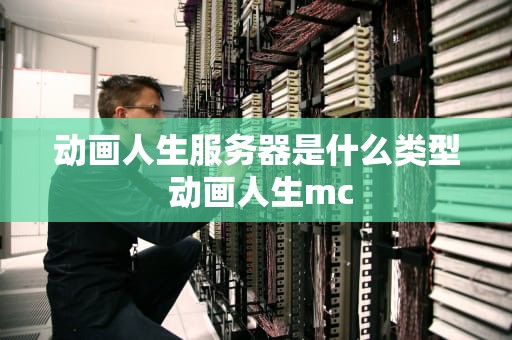 动画人生服务器是什么类型 动画人生mc