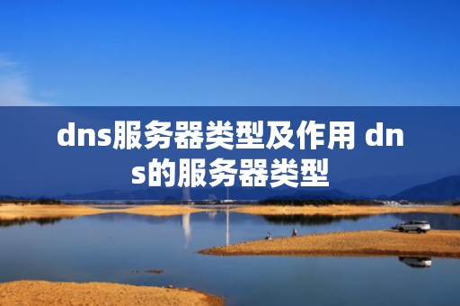 dns服务器类型及作用 dns的服务器类型