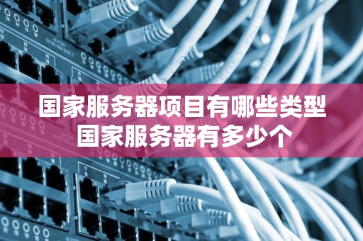 国家服务器项目有哪些类型 国家服务器有多少个