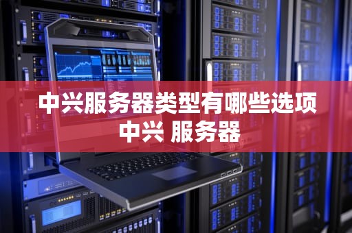 中兴服务器类型有哪些选项 中兴 服务器