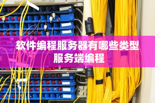 软件编程服务器有哪些类型 服务端编程
