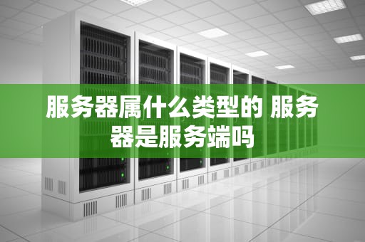 服务器属什么类型的 服务器是服务端吗