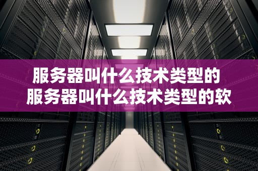 服务器叫什么技术类型的 服务器叫什么技术类型的软件