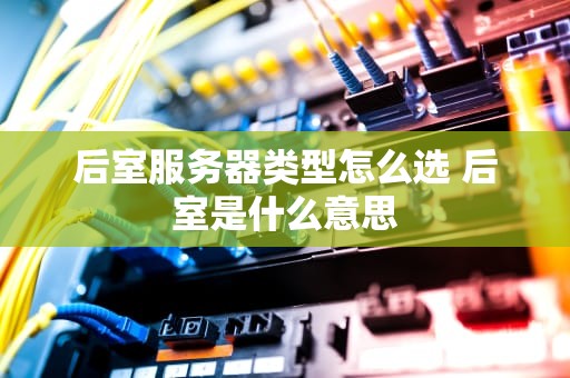 后室服务器类型怎么选 后室是什么意思
