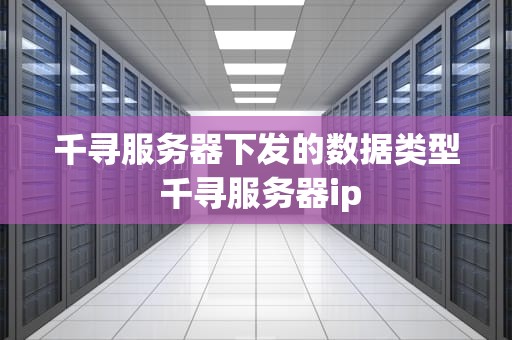 千寻服务器下发的数据类型 千寻服务器ip