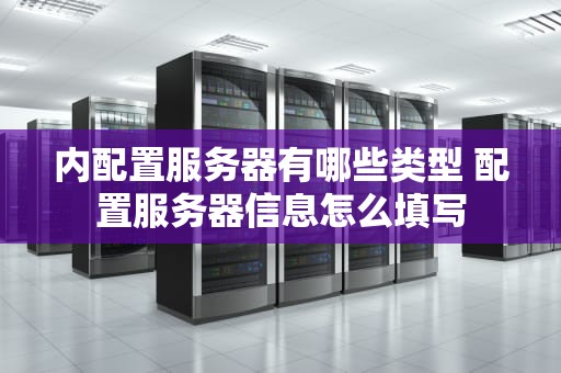 内配置服务器有哪些类型 配置服务器信息怎么填写
