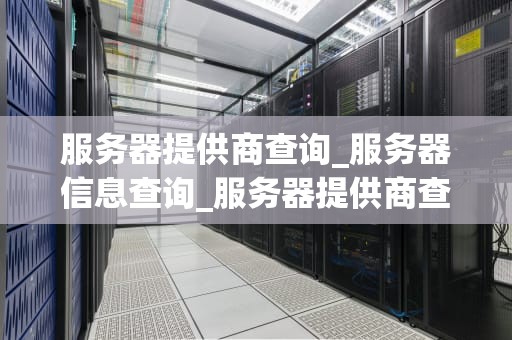 服务器提供商查询_服务器信息查询_服务器提供商查询：关键因素与选择指南