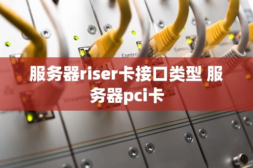 服务器riser卡接口类型 服务器pci卡