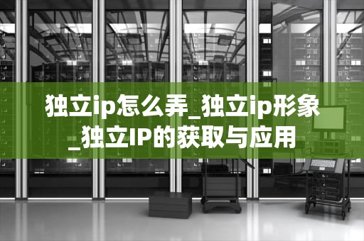 独立ip怎么弄_独立ip形象_独立IP的获取与应用
