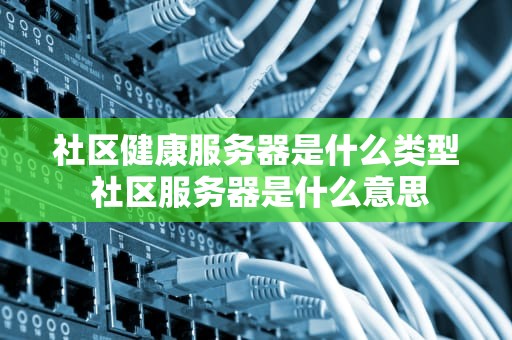 社区健康服务器是什么类型 社区服务器是什么意思