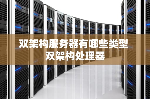 双架构服务器有哪些类型 双架构处理器