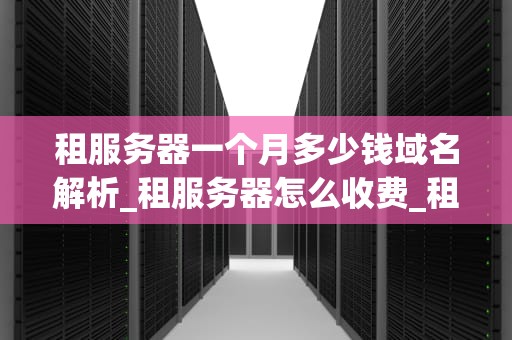 租服务器一个月多少钱域名解析_租服务器怎么收费_租服务器一个月多少钱？域名解析的重要性