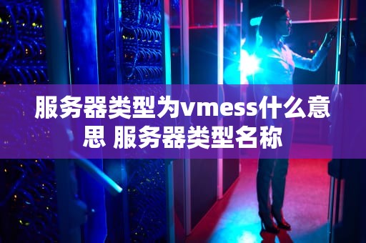 服务器类型为vmess什么意思 服务器类型名称