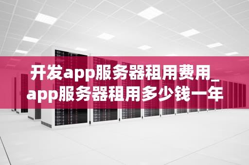开发app服务器租用费用_app服务器租用多少钱一年_探索开发App服务器租用费用：关键因素与选择策略