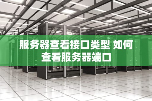 服务器查看接口类型 如何查看服务器端口