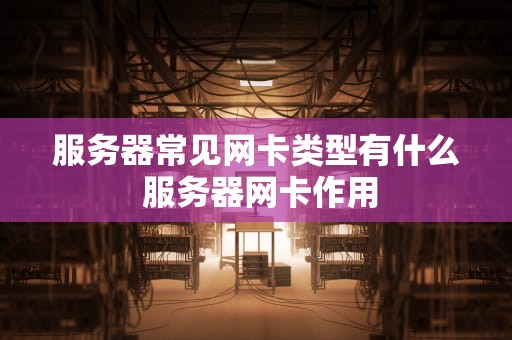 服务器常见网卡类型有什么 服务器网卡作用