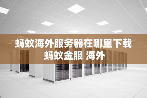 蚂蚁海外服务器在哪里下载 蚂蚁金服 海外