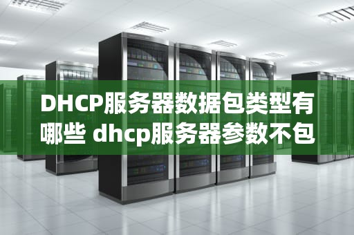 DHCP服务器数据包类型有哪些 dhcp服务器参数不包括