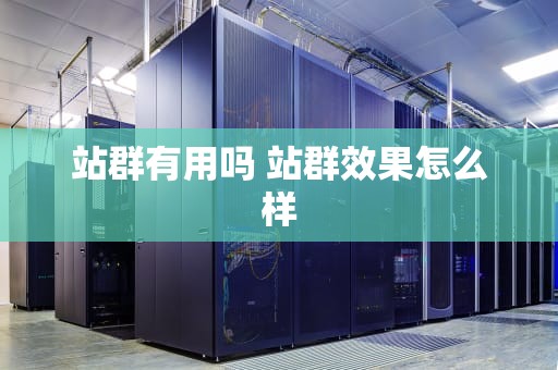 站群有用吗 站群效果怎么样