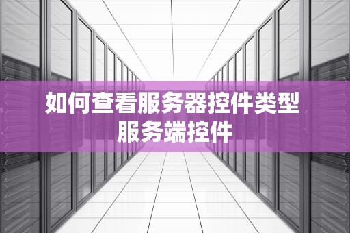 如何查看服务器控件类型 服务端控件