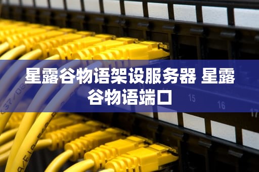 星露谷物语架设服务器 星露谷物语端口