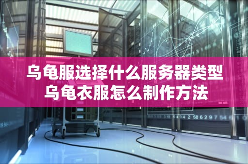 乌龟服选择什么服务器类型 乌龟衣服怎么制作方法