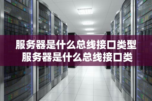 服务器是什么总线接口类型 服务器是什么总线接口类型图片