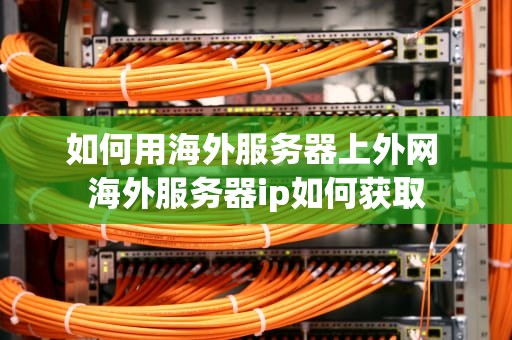 如何用海外服务器上外网 海外服务器ip如何获取