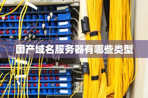 国产域名服务器有哪些类型
