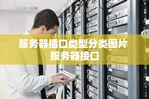 服务器插口类型分类图片 服务器接口