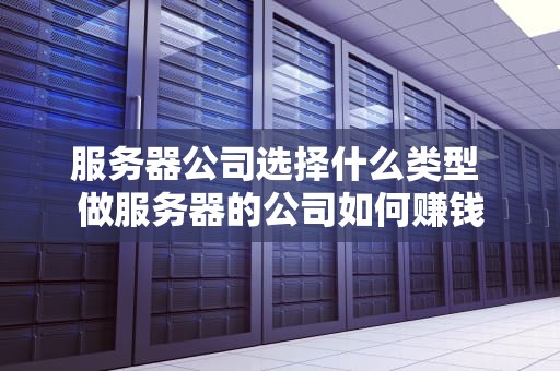 服务器公司选择什么类型 做服务器的公司如何赚钱