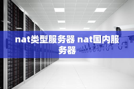 nat类型服务器 nat国内服务器