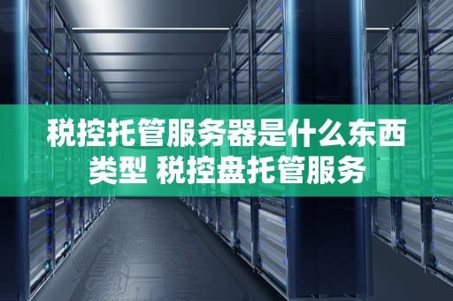 税控托管服务器是什么东西类型 税控盘托管服务