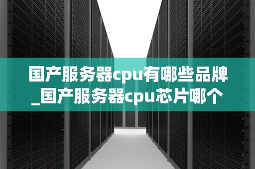 国产服务器cpu有哪些品牌_国产服务器cpu芯片哪个好_国产服务器CPU品牌探析