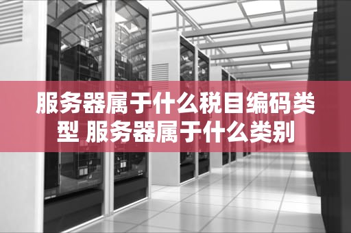 服务器属于什么税目编码类型 服务器属于什么类别