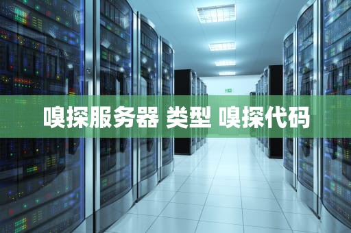 嗅探服务器 类型 嗅探代码