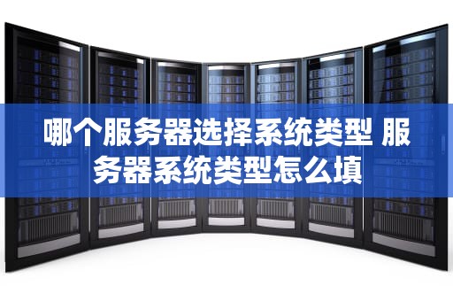 哪个服务器选择系统类型 服务器系统类型怎么填