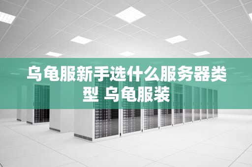 乌龟服新手选什么服务器类型 乌龟服装