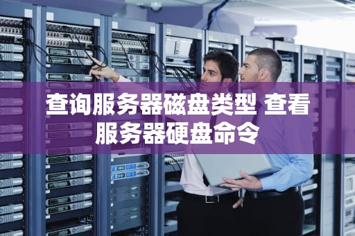 查询服务器磁盘类型 查看服务器硬盘命令