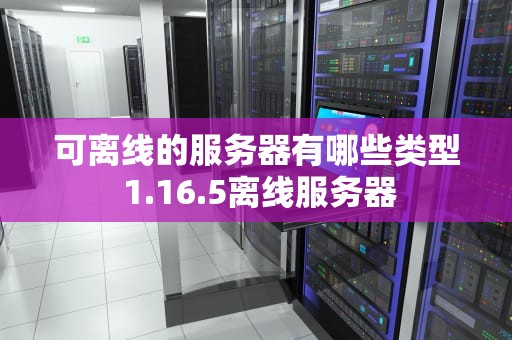 可离线的服务器有哪些类型 1.16.5离线服务器