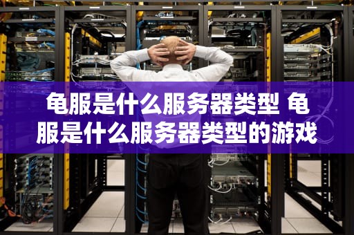龟服是什么服务器类型 龟服是什么服务器类型的游戏