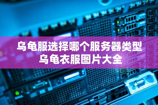 乌龟服选择哪个服务器类型 乌龟衣服图片大全