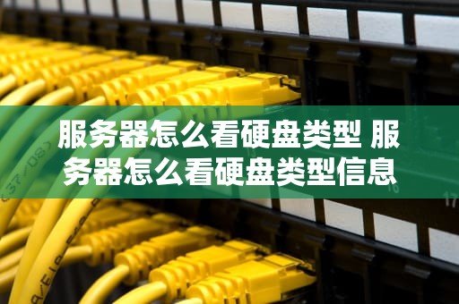 服务器怎么看硬盘类型 服务器怎么看硬盘类型信息