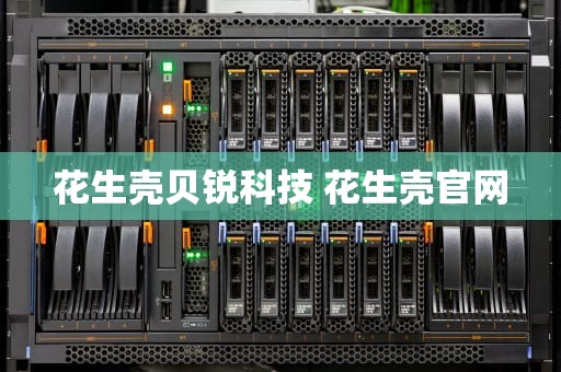 花生壳贝锐科技 花生壳官网