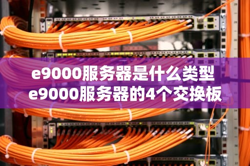 e9000服务器是什么类型 e9000服务器的4个交换板槽位名称分别是