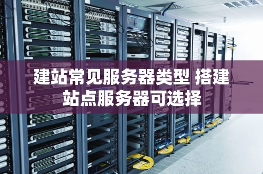 建站常见服务器类型 搭建站点服务器可选择