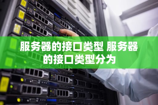 服务器的接口类型 服务器的接口类型分为