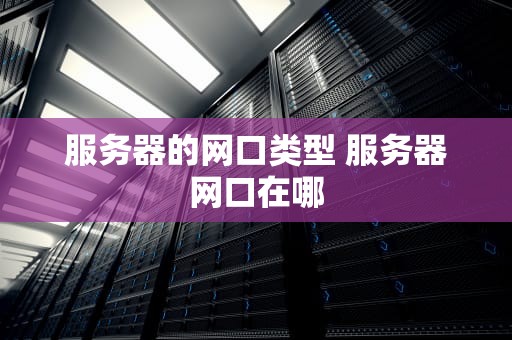 服务器的网口类型 服务器网口在哪