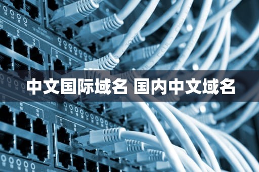 中文国际域名 国内中文域名